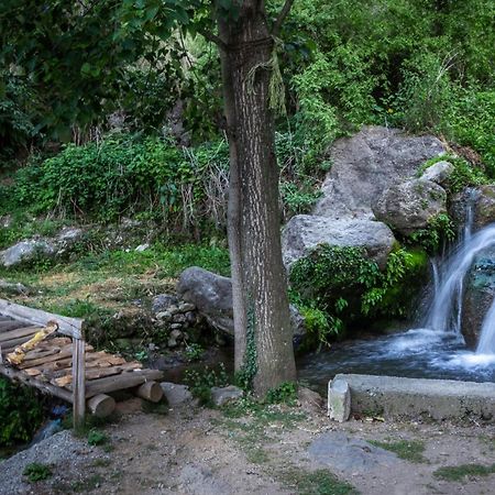 Babutaal Resort Chakrata Extérieur photo
