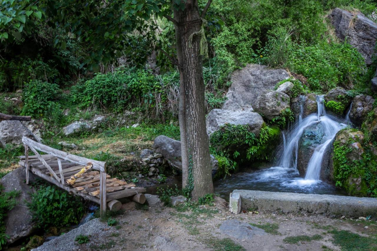 Babutaal Resort Chakrata Extérieur photo
